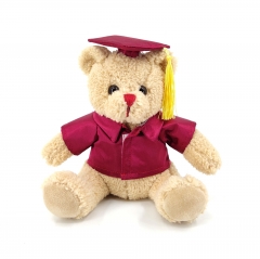 GRAD BEAR WITH T-shirt