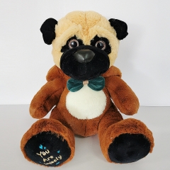 Plush Dog with Pajamas