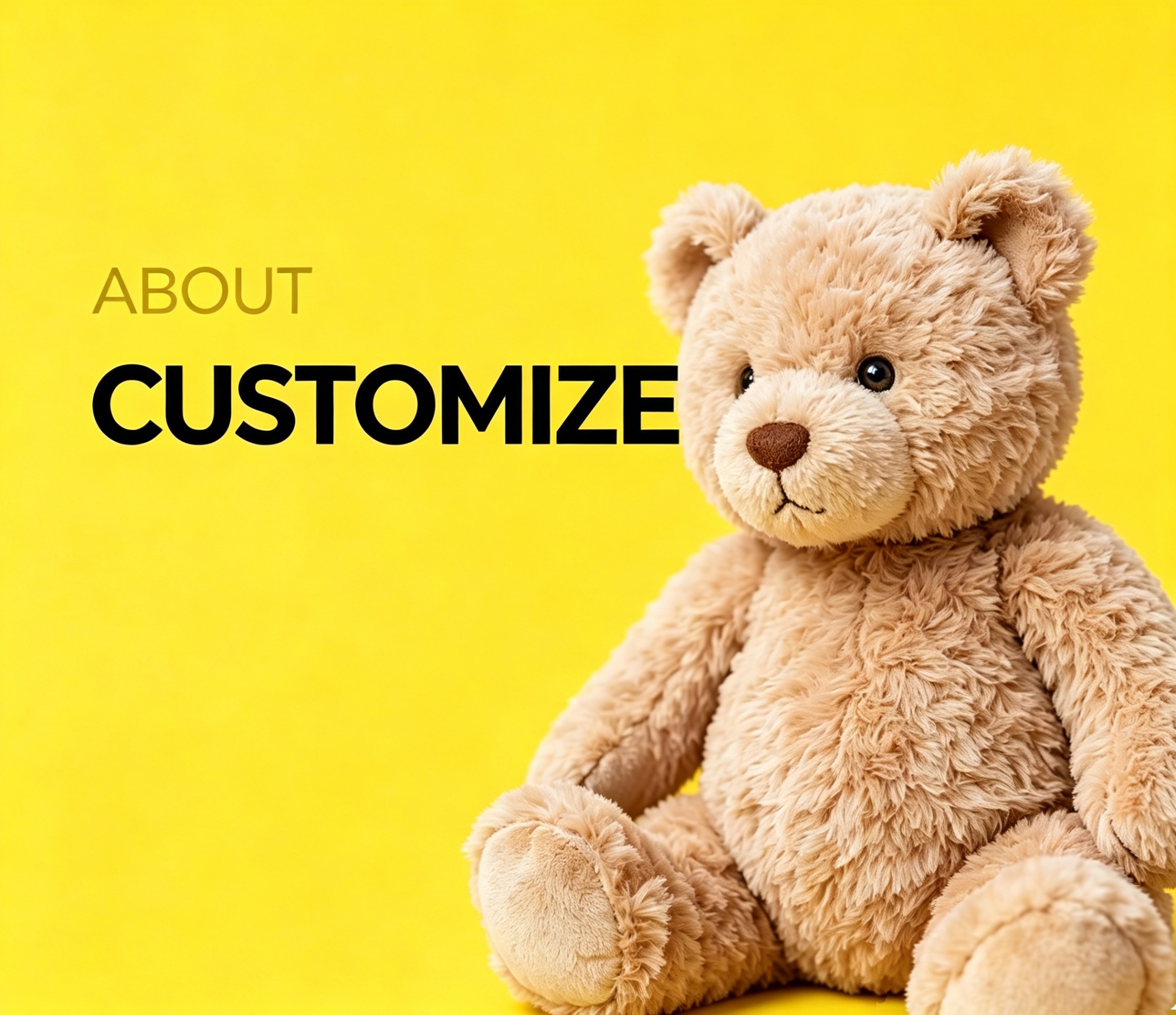 ABOUT CUSTOMIZE
